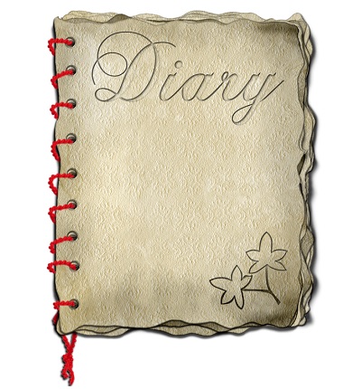 Schreibe ein Projekttagebuch!