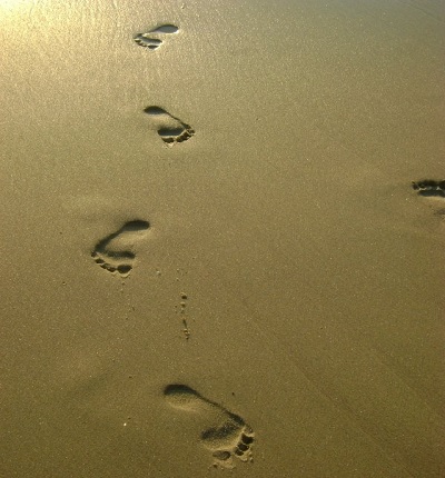 Lerne von deiner Reise!