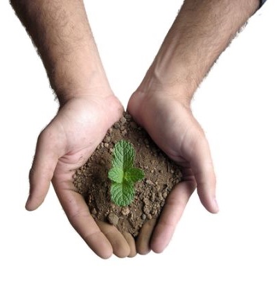 Verwirkliche jede gute Idee so schnell wie möglich!