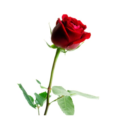 Engagierte Mitarbeiter